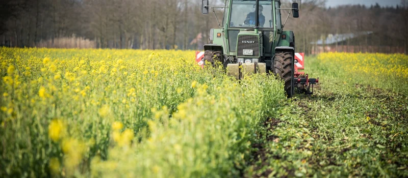 Ein Traktor fährt durch ein gelb blühendes Feld vor einer Baumreihe. Das Bild steht für ländliche Genossenschaften und gemeinsame Stärke in der Landwirtschaft.