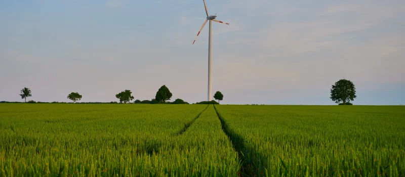 Eine Windenergieanlage steht auf einem grünen Feld unter weitem Himmel. Das Bild steht für Nachhaltigkeit als Zukunftsthema in der Beratung von Genossenschaftsbanken.