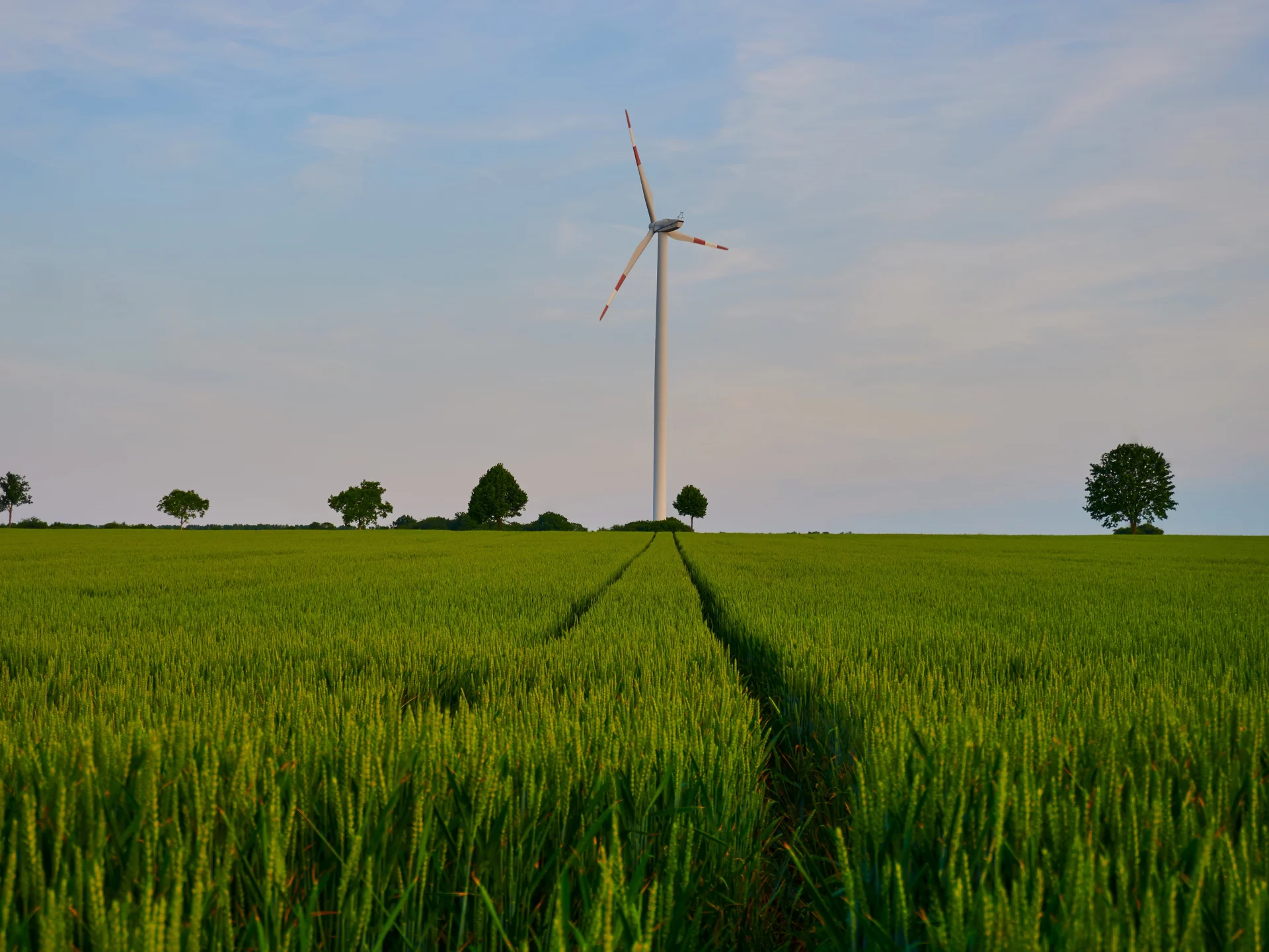Eine Windenergieanlage steht auf einem grünen Feld unter weitem Himmel. Das Bild steht für Nachhaltigkeit als Zukunftsthema in der Beratung von Genossenschaftsbanken.