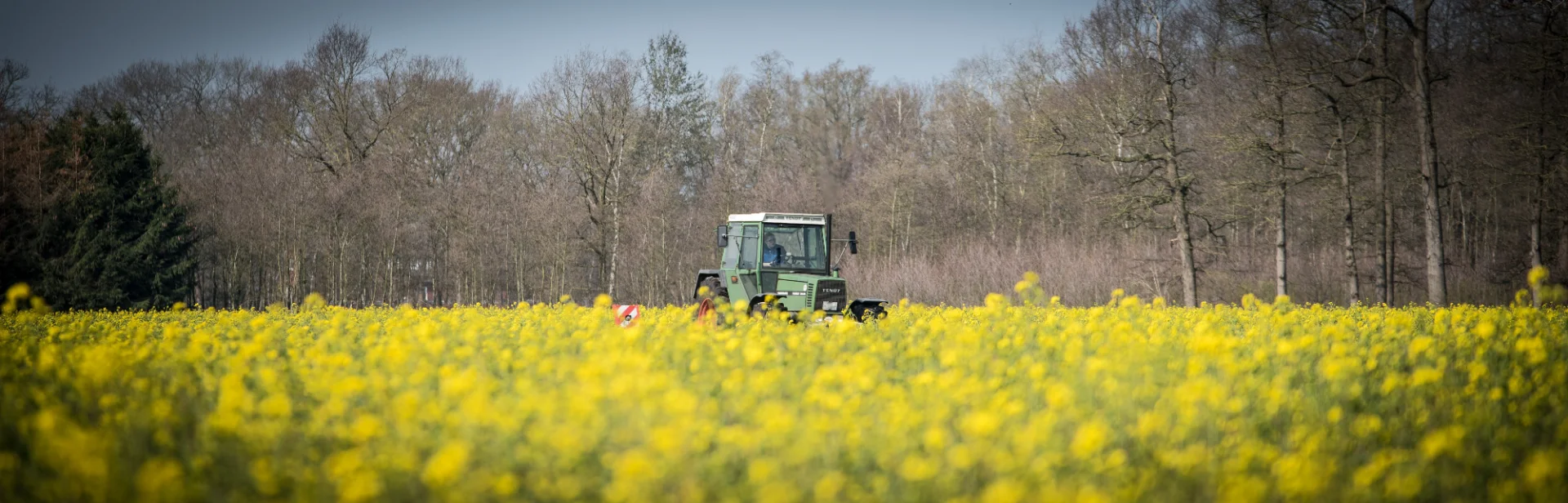 Ein Traktor fährt durch ein gelb blühendes Feld vor einer Baumreihe. Das Bild steht für ländliche Genossenschaften und starke landwirtschaftliche Kooperationen in Weser-Ems.