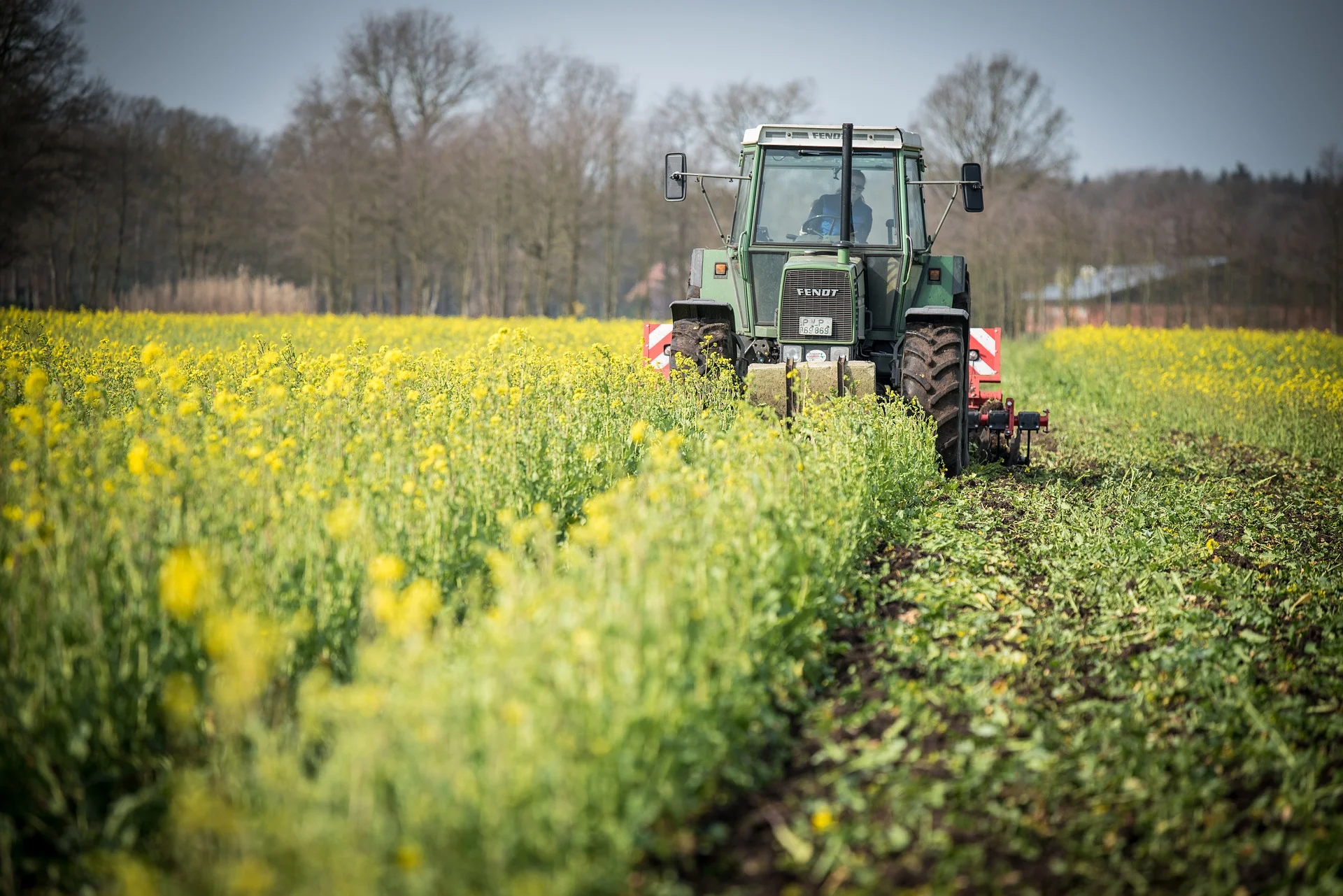 Ein Traktor fährt durch ein gelb blühendes Feld vor einer Baumreihe. Das Bild steht für ländliche Genossenschaften und gemeinsame Stärke in der Landwirtschaft.